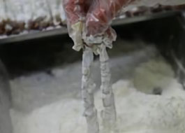 2. 새우 파우더